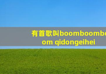 有首歌叫boomboomboom qidongeihei